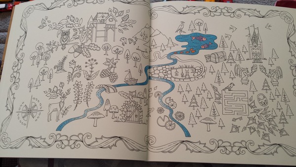 Adult colouring in books