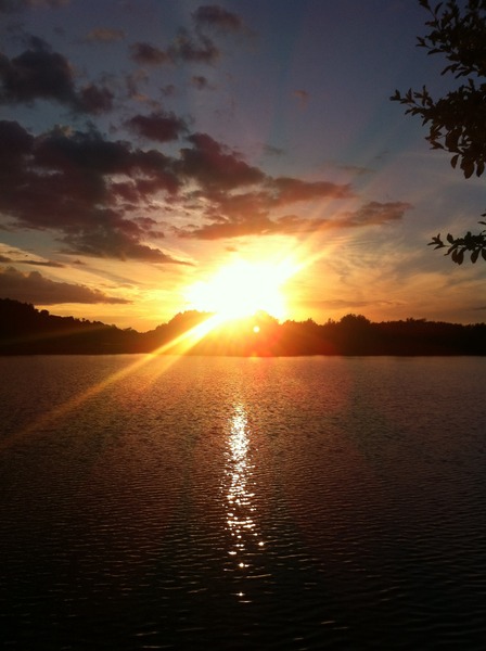 Recurrent Miscarriage Support Thread 28 - Tests, Treatments, Trying again, Trying to stay sane and most of all TREMENDOUS support!