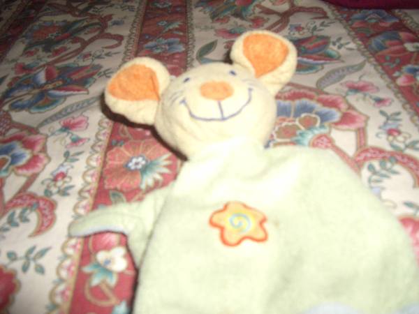 Appeal for help to find or replace a childs beloved  lost toy
