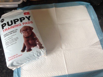 Potty Training - Brilliant alternative to expensive potty liners