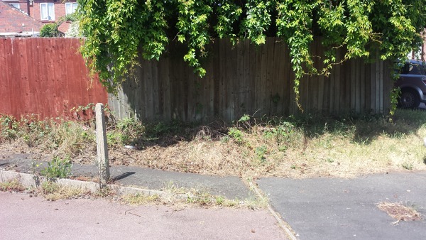 Does anyone do any Guerrilla Gardening?