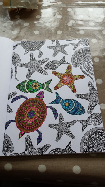 Adult colouring in books