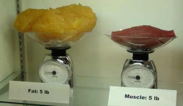 5:2 Thread number 55: When birds are using oven gloves to pull worms out of the ground, stay cool fasting with us (worms taste sh*t anyway)