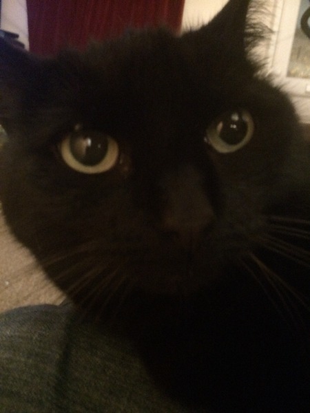Tick - Remove Myself or Vets?