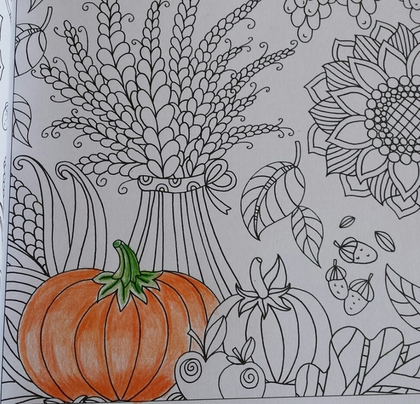 Adult colouring in books