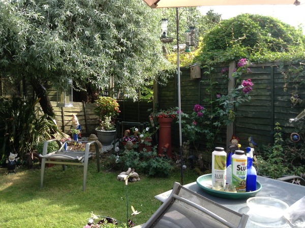 Support For Anyone That Has Lost A Parent