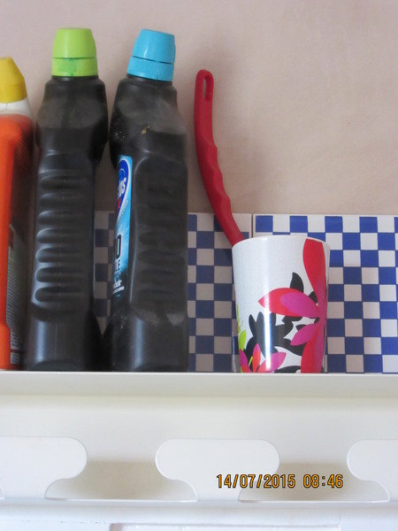 Do you have a toilet brush?