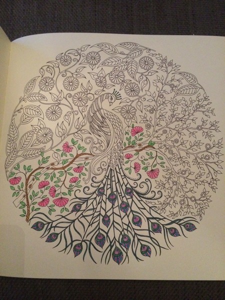 Adult colouring in books