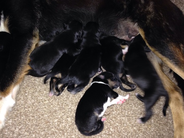 Swagger Inn Thread 102 - It's Raining HBF Musketeers (We Wish)