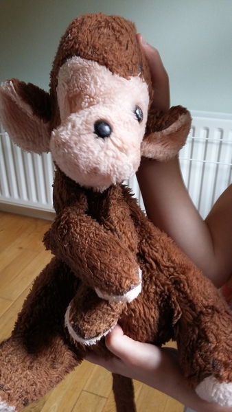 to be highly insulted on my monkey's behalf