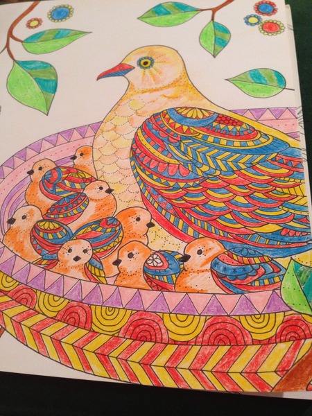 Adult colouring in books