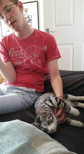 This is NOT my cat