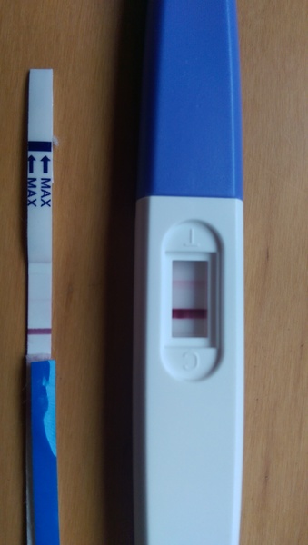 There was a viroid named Just, who was all wanton and lust. But her fanjo's a numpty, so she named it country, and they have a skittletits bust! It's JSing 50!!