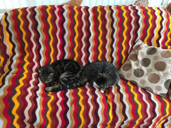 Team Hooker : Come flash your wares at the Hotel Crochetfornia.