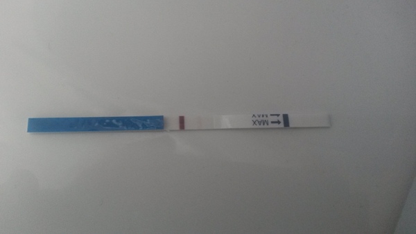 There was a viroid named Just, who was all wanton and lust. But her fanjo's a numpty, so she named it country, and they have a skittletits bust! It's JSing 50!!