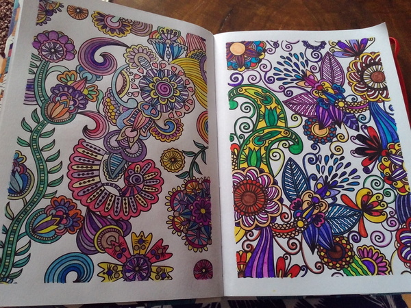 Adult colouring in books