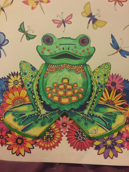 Adult colouring in books