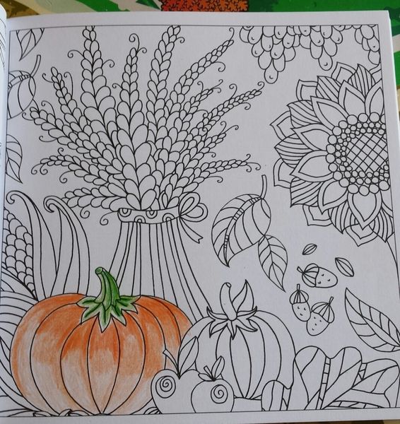 Adult colouring in books