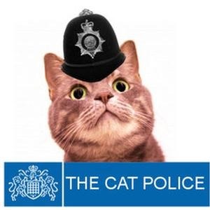 To expect my neighbour to take responsibility for his cat attacking mine?!!