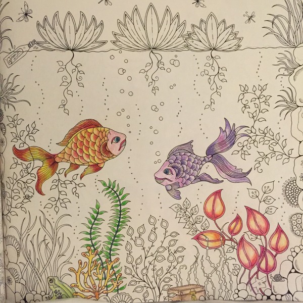 Adult colouring in books