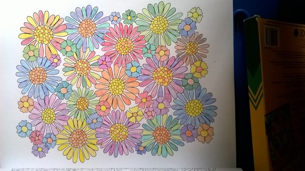 Adult colouring in books