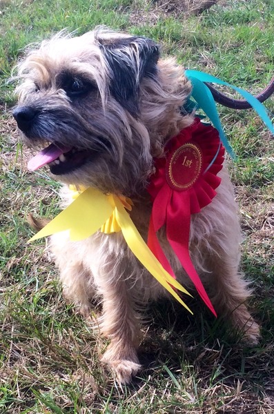 Anyone want to guess what our dog got her first prize for?