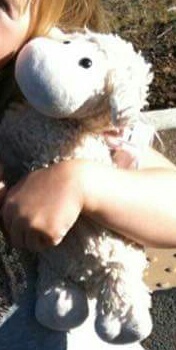 Lost lamb in Glasgow airport- Sharing for a friend