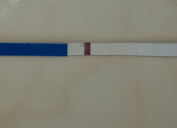 Pregnancy test. Faint line??
