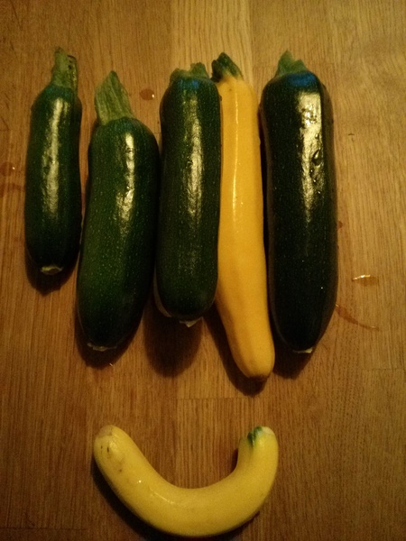 The 2015 Allotment / Veg Patch Thread Part 3 already!