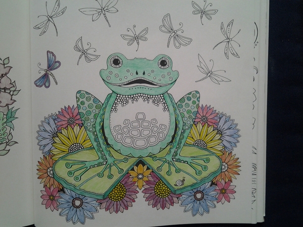 Adult colouring in books