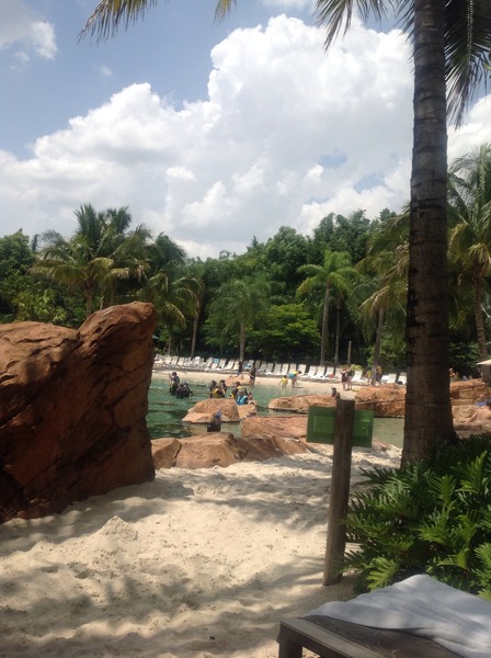 Anyone got a Disney World/Florida holiday planned? Part 3