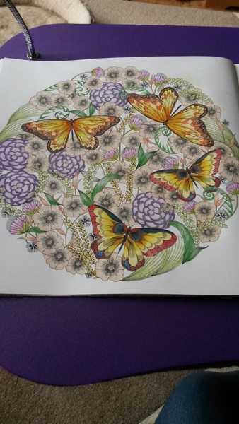 Adult colouring in books