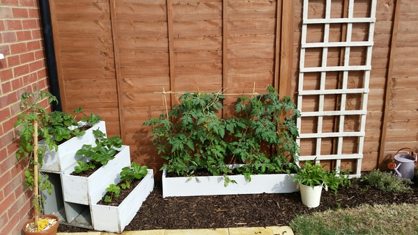 New build garden update...