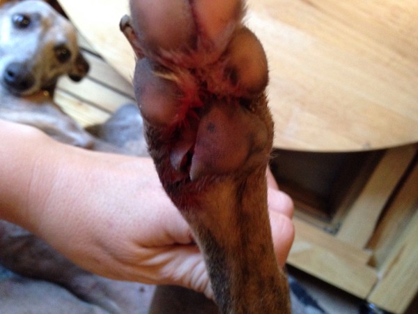 2015 Running Thread Part 6