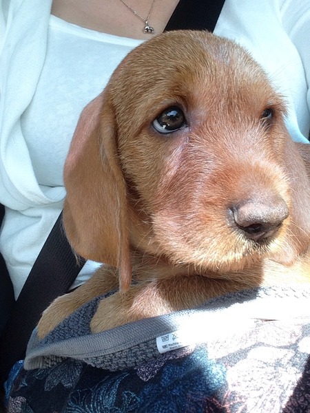 Jan 2016 #6 ....bumps and blooming ahoy!