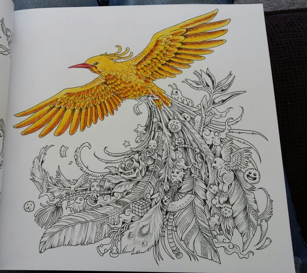 Adult colouring in books