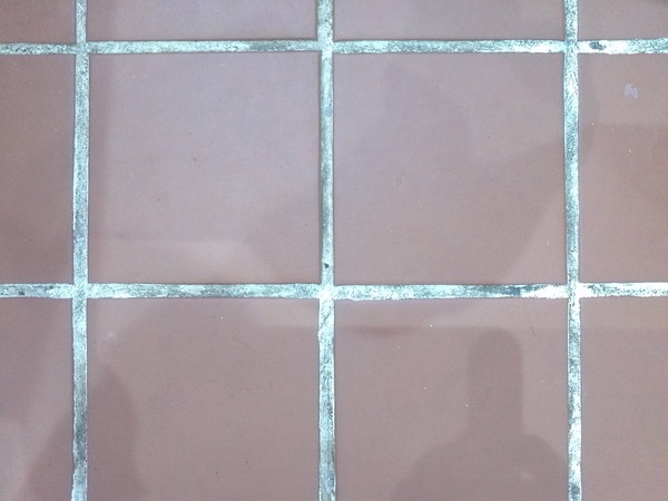 My grouting is DISGUSTING