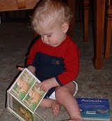 Share your top tips for reading with toddlers and win £300 worth of books NOW CLOSED