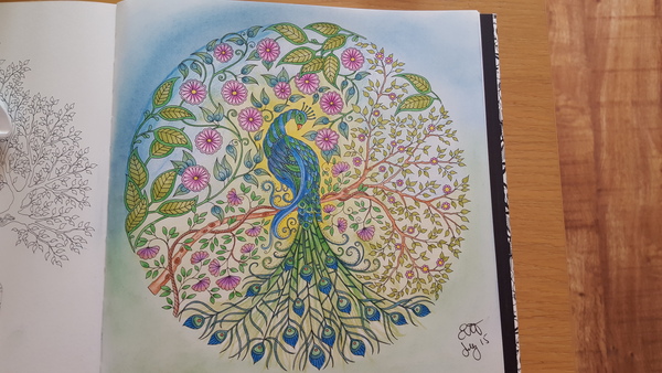 Adult colouring in books