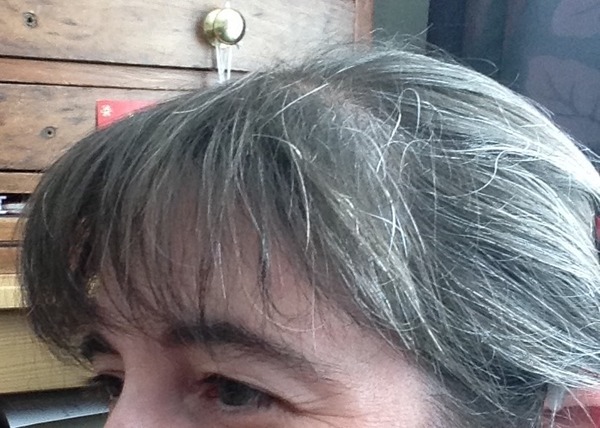 For those of us going grey