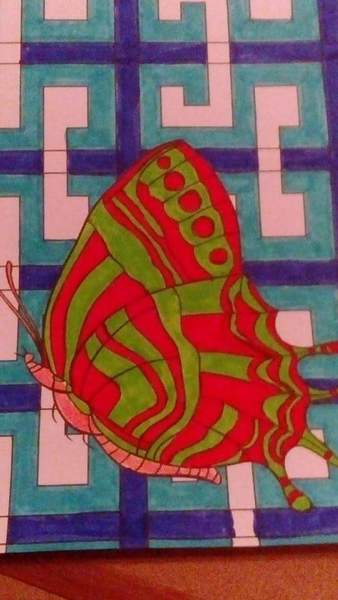 Adult colouring in books