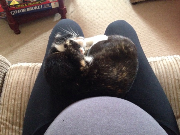 Trying to make our fannies wider, Epi-no,no,no! All the pregnancy glamour of difficult shags, dribbly naps and pissy pants. JSers - encouraging food envy for 33 freds.