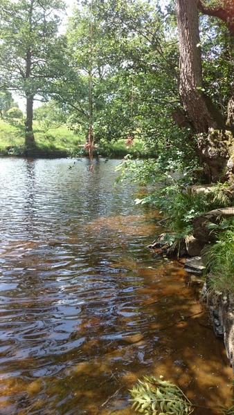 Thread to evangelise about open water swimming!