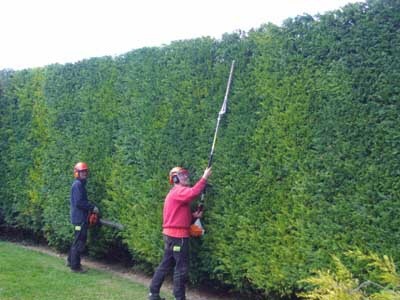 Pregnancy glamour overload...