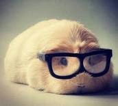 to feel a bit sad for the grumpy hipsters on holiday