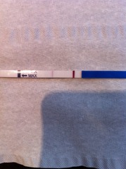 There was a viroid named Just, who was all wanton and lust. But her fanjo's a numpty, so she named it country, and they have a skittletits bust! It's JSing 50!!