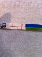 There was a viroid named Just, who was all wanton and lust. But her fanjo's a numpty, so she named it country, and they have a skittletits bust! It's JSing 50!!