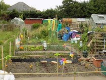 The 2015 Allotment / Veg Patch Thread Part 3 already!