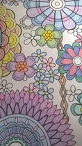 Adult colouring in books