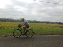 The MN peloton heading for the Alps and then Paris. The TdF thread. Hopefully we're not on drugs. Actually, do nicotine and alcohol get you banned? In which case I'm buggered...